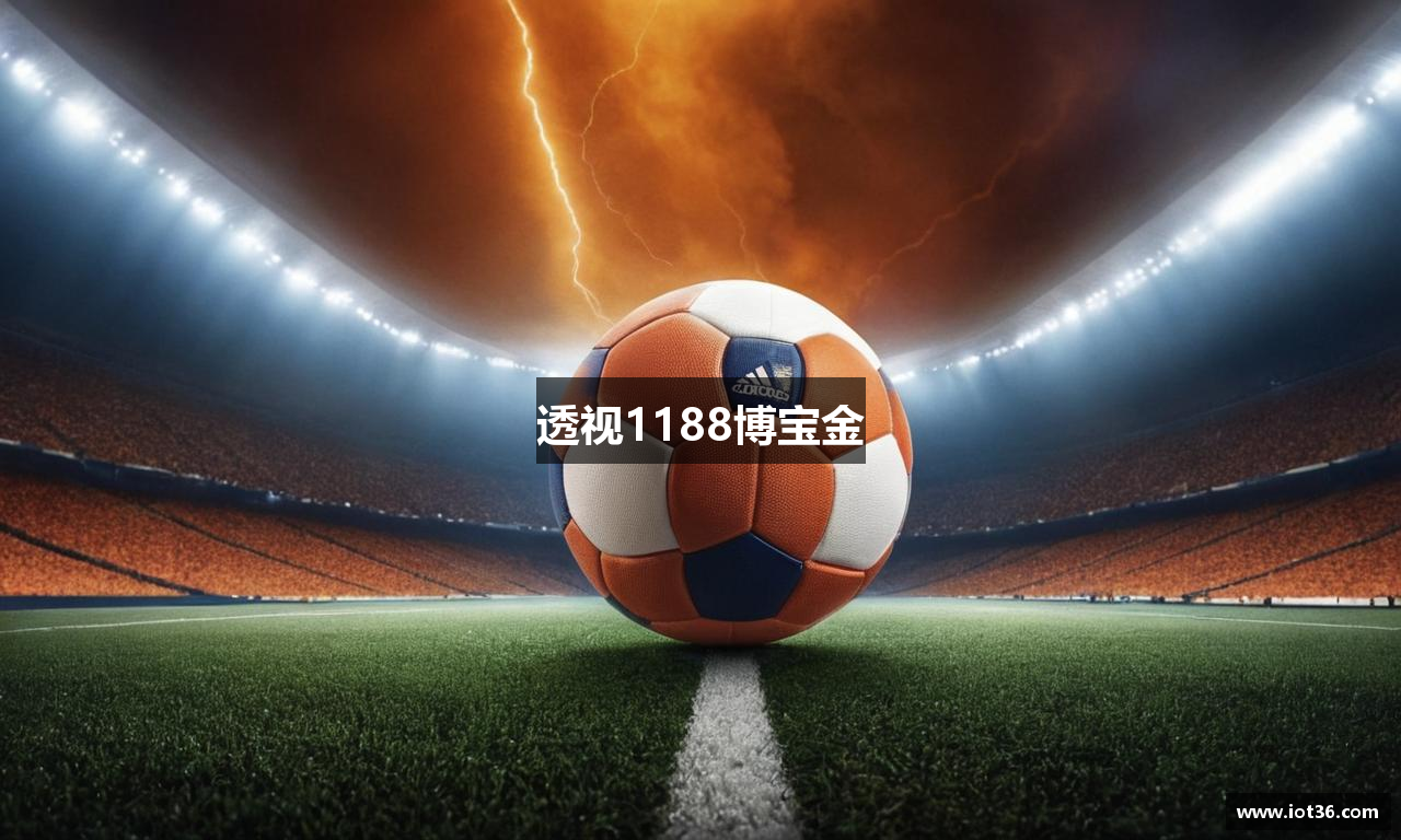 透视1188博宝金